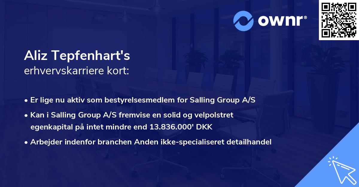 Aliz Tepfenhart's erhvervskarriere kort