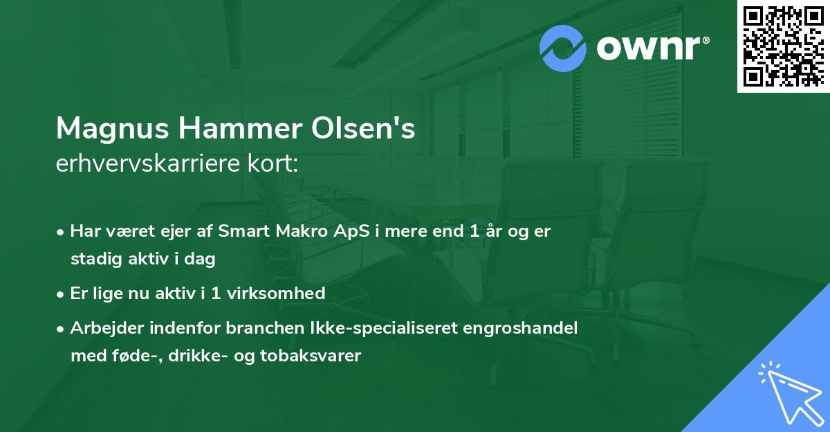 Magnus Hammer Olsen's erhvervskarriere kort