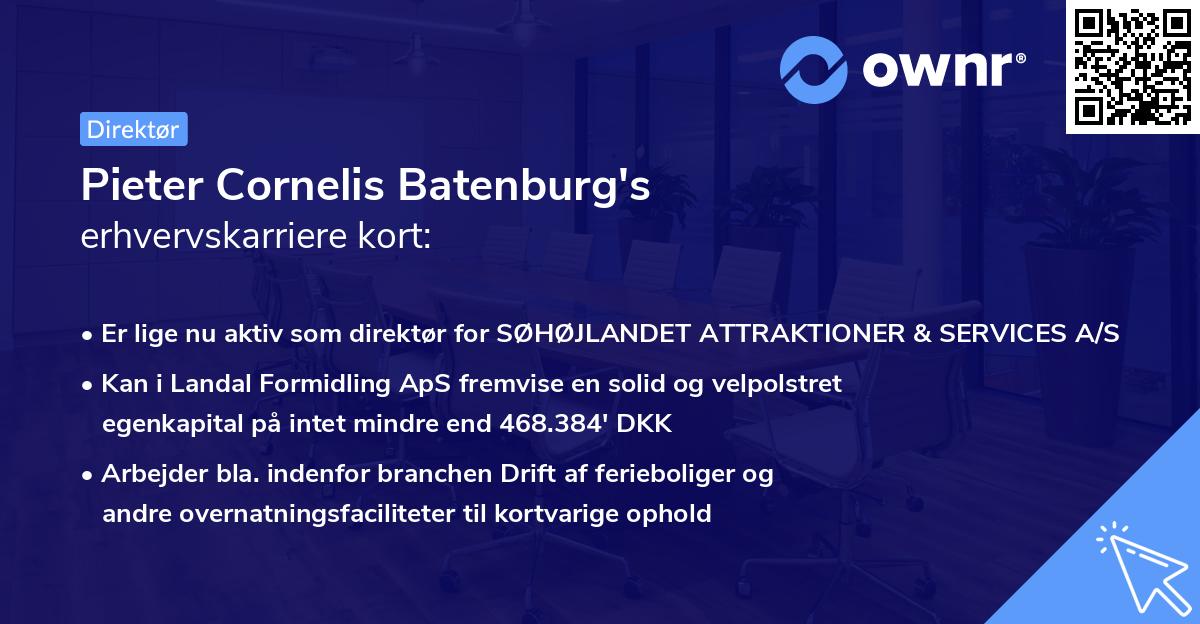 Pieter Cornelis Batenburg's erhvervskarriere kort