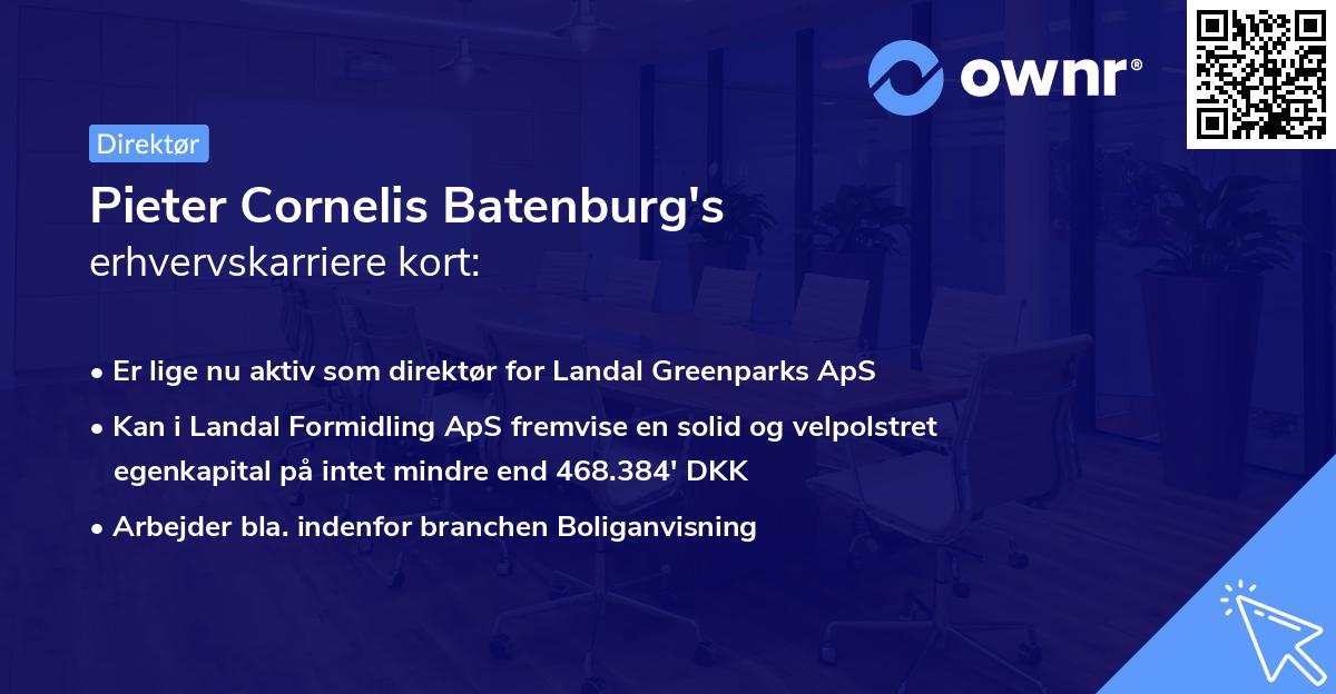 Pieter Cornelis Batenburg's erhvervskarriere kort