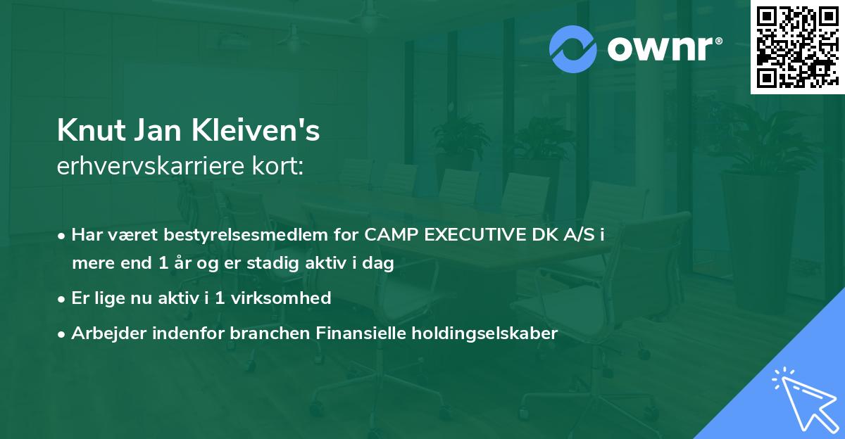 Knut Jan Kleiven's erhvervskarriere kort