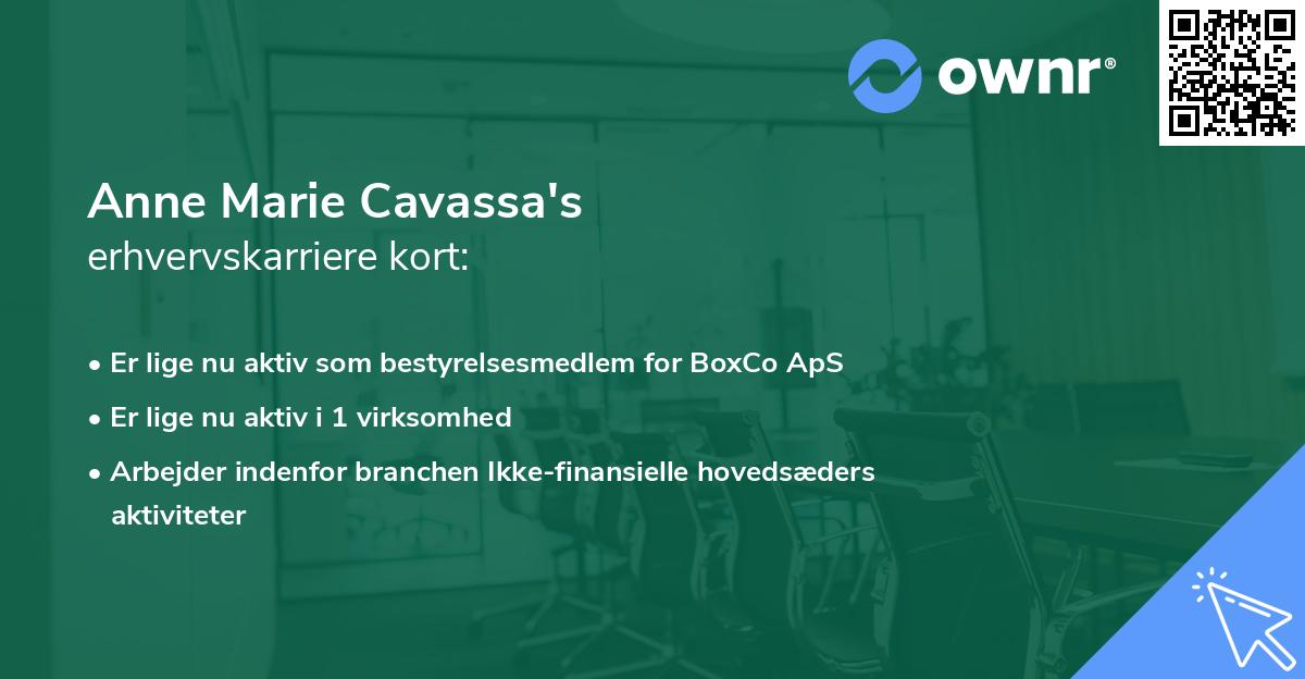 Anne Marie Cavassa's erhvervskarriere kort