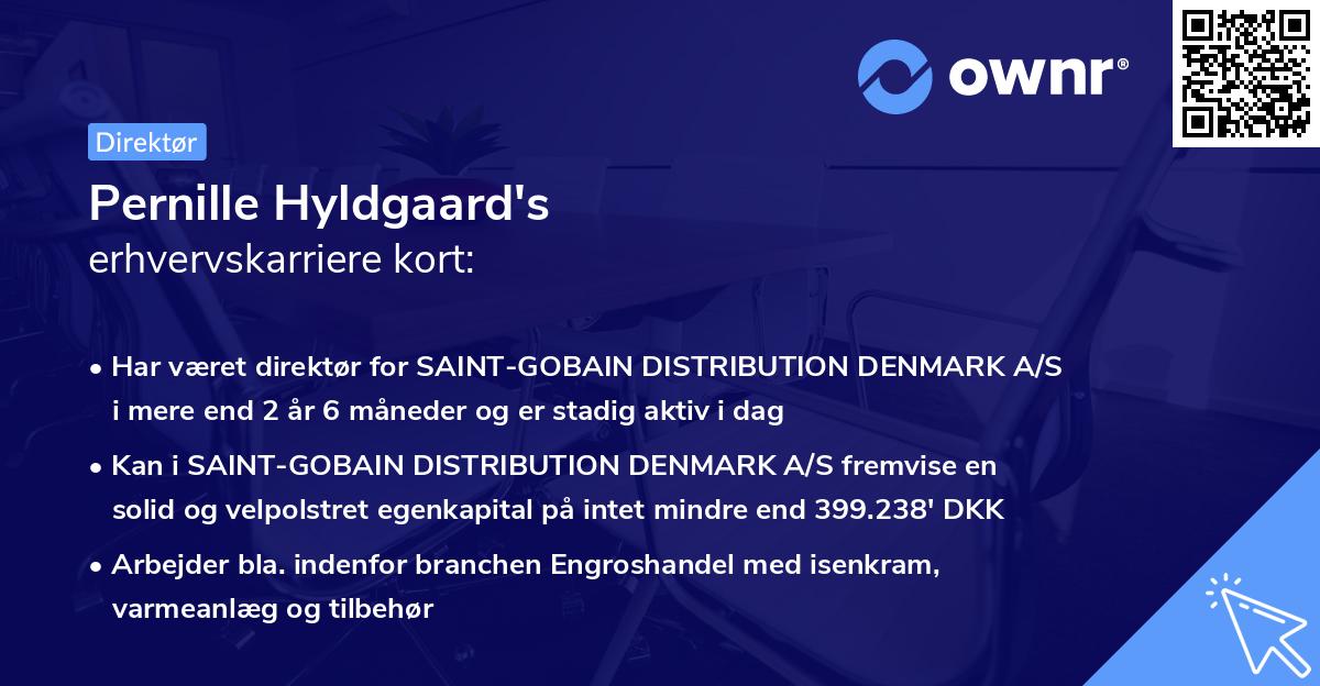 Pernille Hyldgaard's erhvervskarriere kort