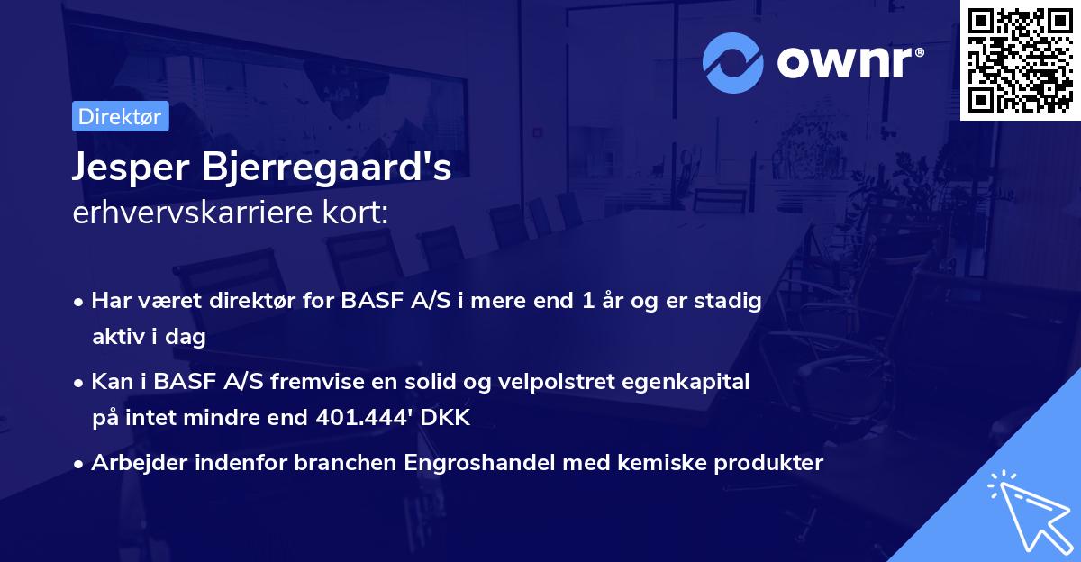 Jesper Bjerregaard's erhvervskarriere kort