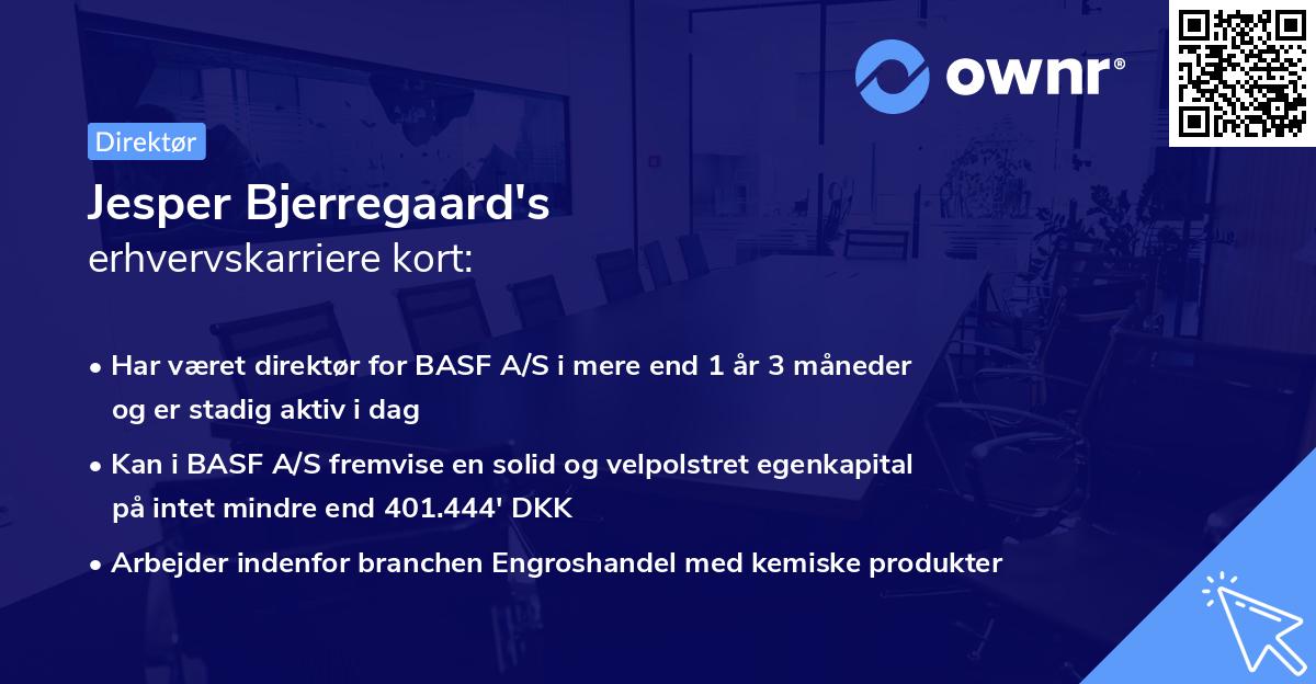 Jesper Bjerregaard's erhvervskarriere kort