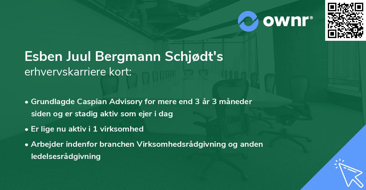 Esben Juul Bergmann Schjødt's erhvervskarriere kort