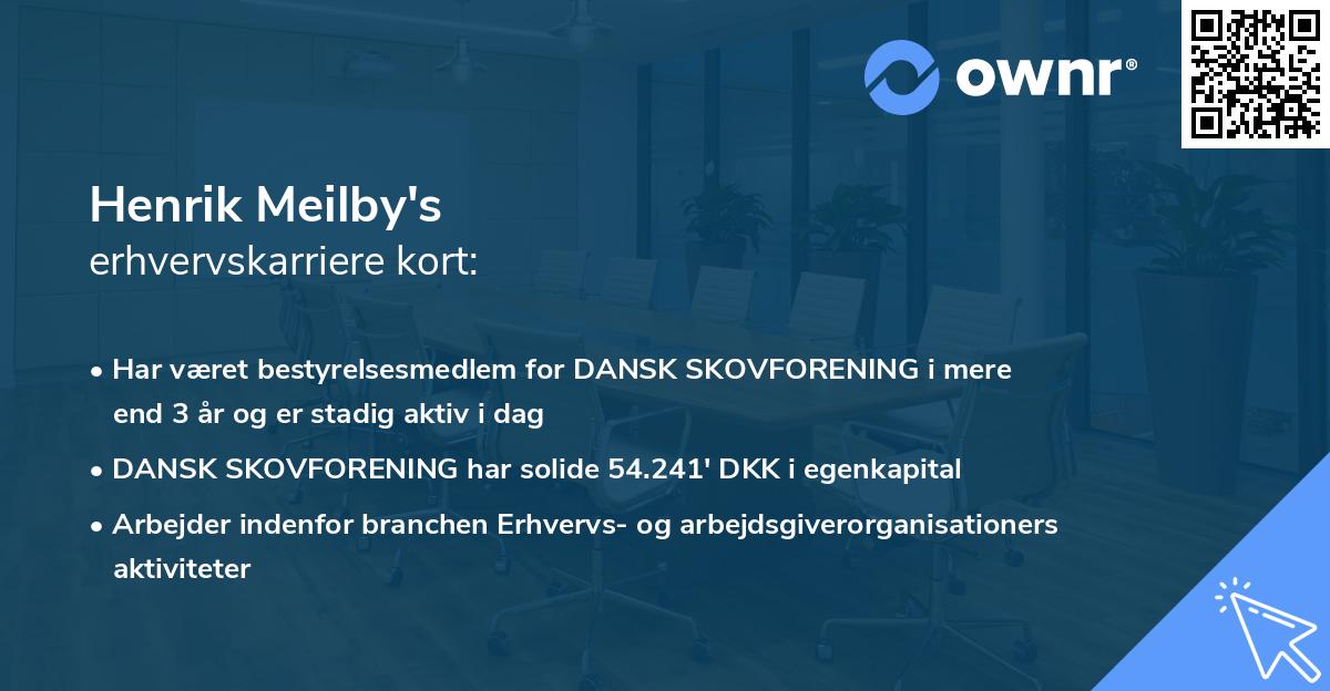 Henrik Meilby's erhvervskarriere kort
