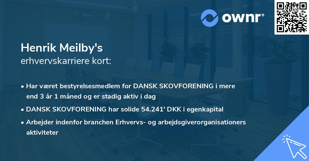 Henrik Meilby's erhvervskarriere kort