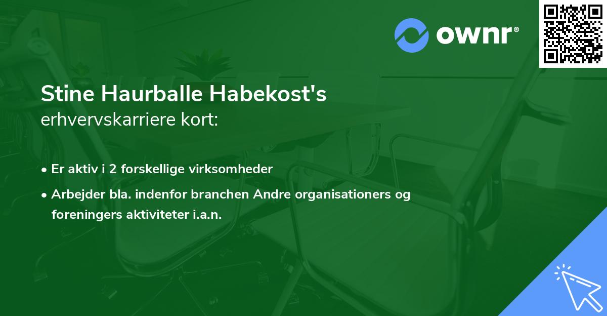 Stine Haurballe Habekost's erhvervskarriere kort