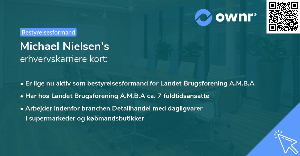 Michael Nielsen's erhvervskarriere kort