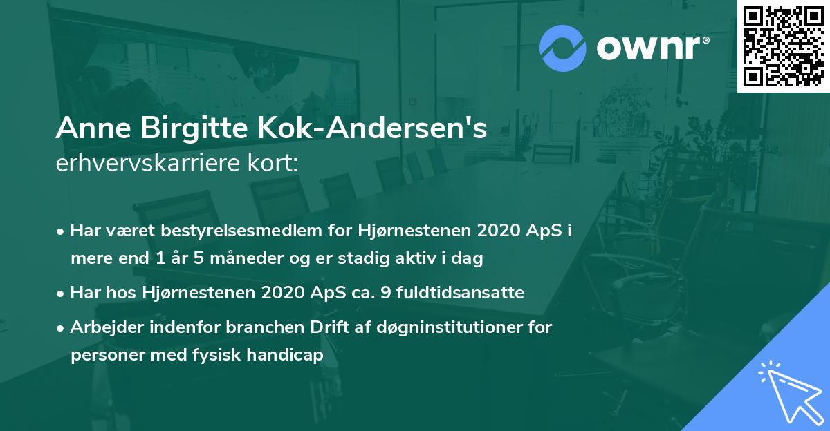 Anne Birgitte Kok-Andersen's erhvervskarriere kort