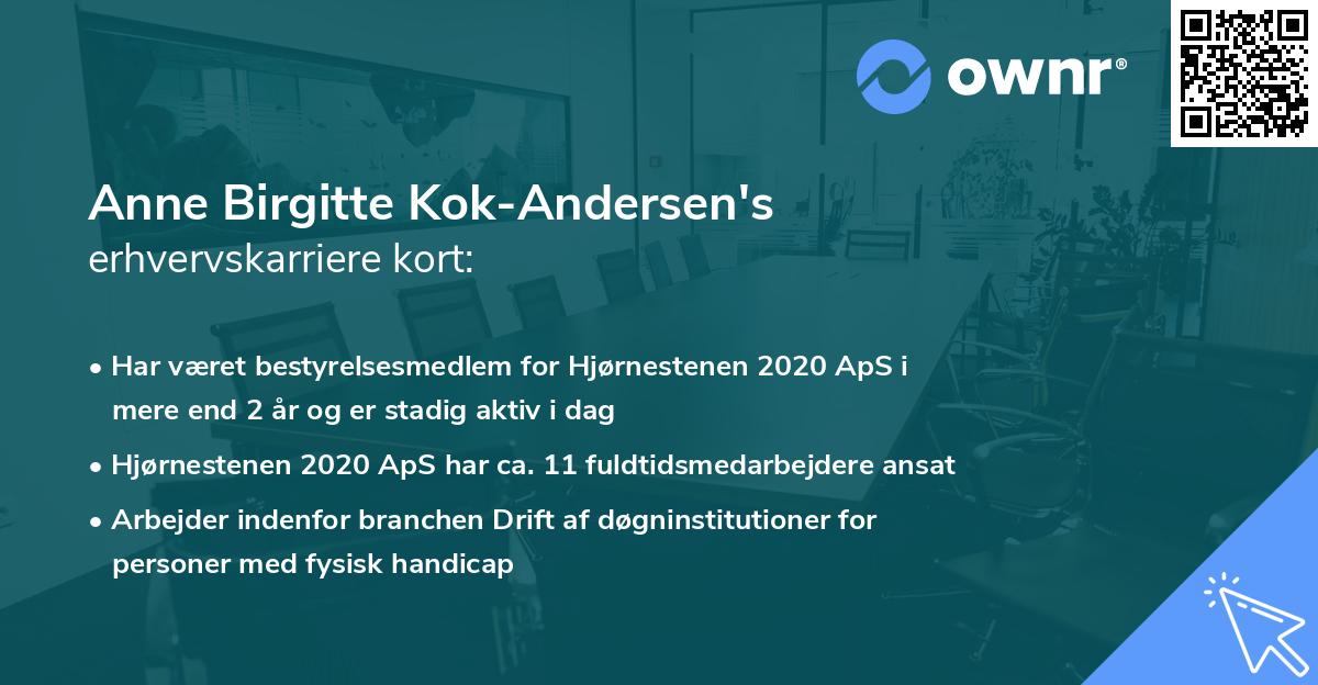 Anne Birgitte Kok-Andersen's erhvervskarriere kort