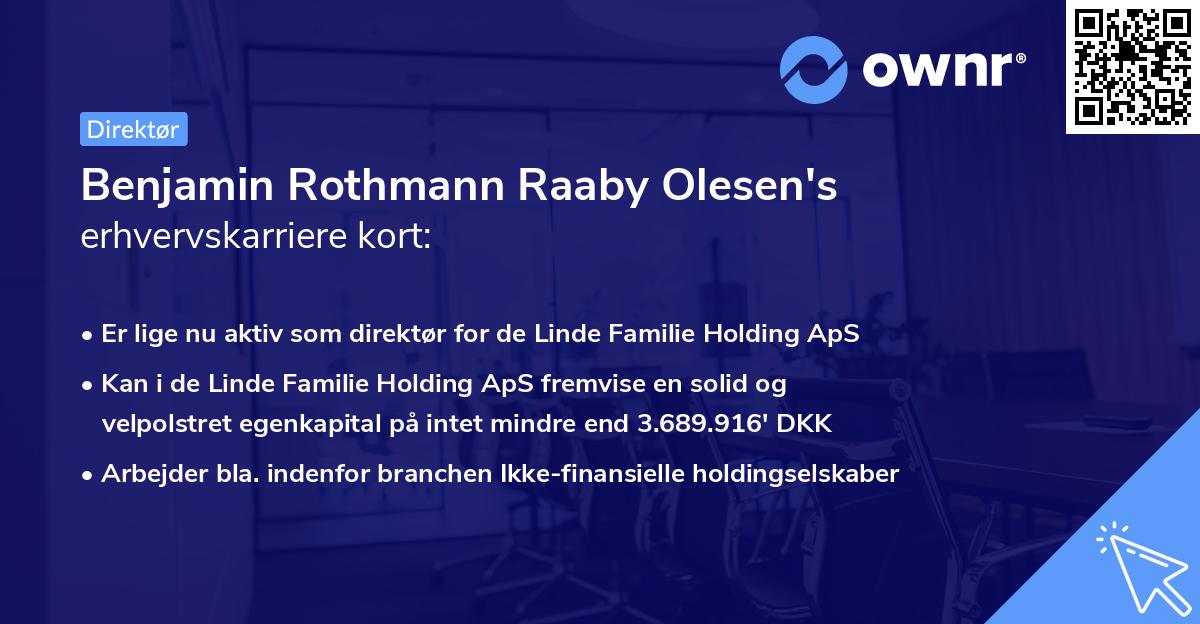 Benjamin Rothmann Raaby Olesen's erhvervskarriere kort