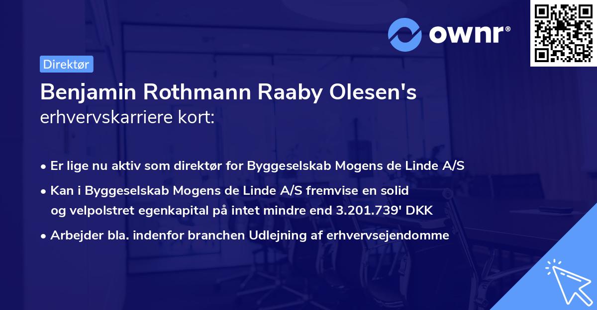 Benjamin Rothmann Raaby Olesen's erhvervskarriere kort