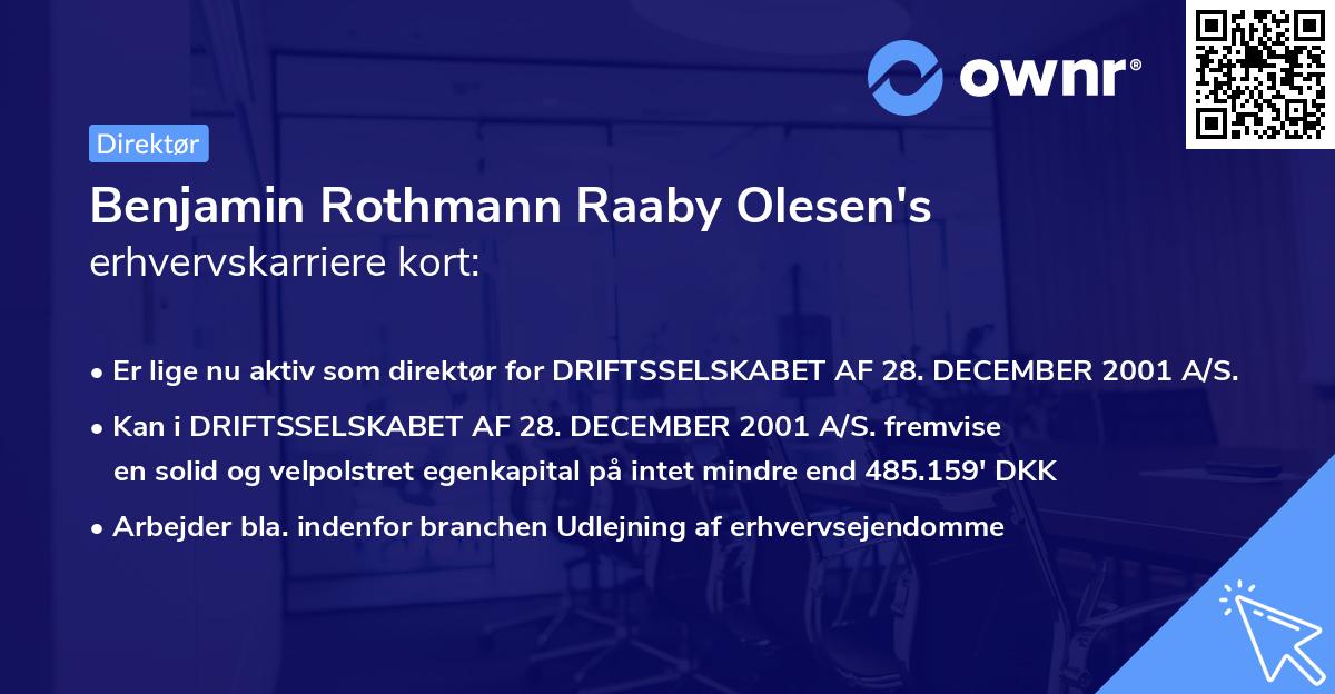 Benjamin Rothmann Raaby Olesen's erhvervskarriere kort