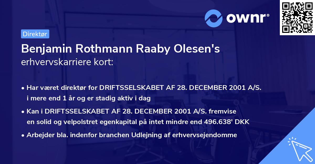 Benjamin Rothmann Raaby Olesen's erhvervskarriere kort