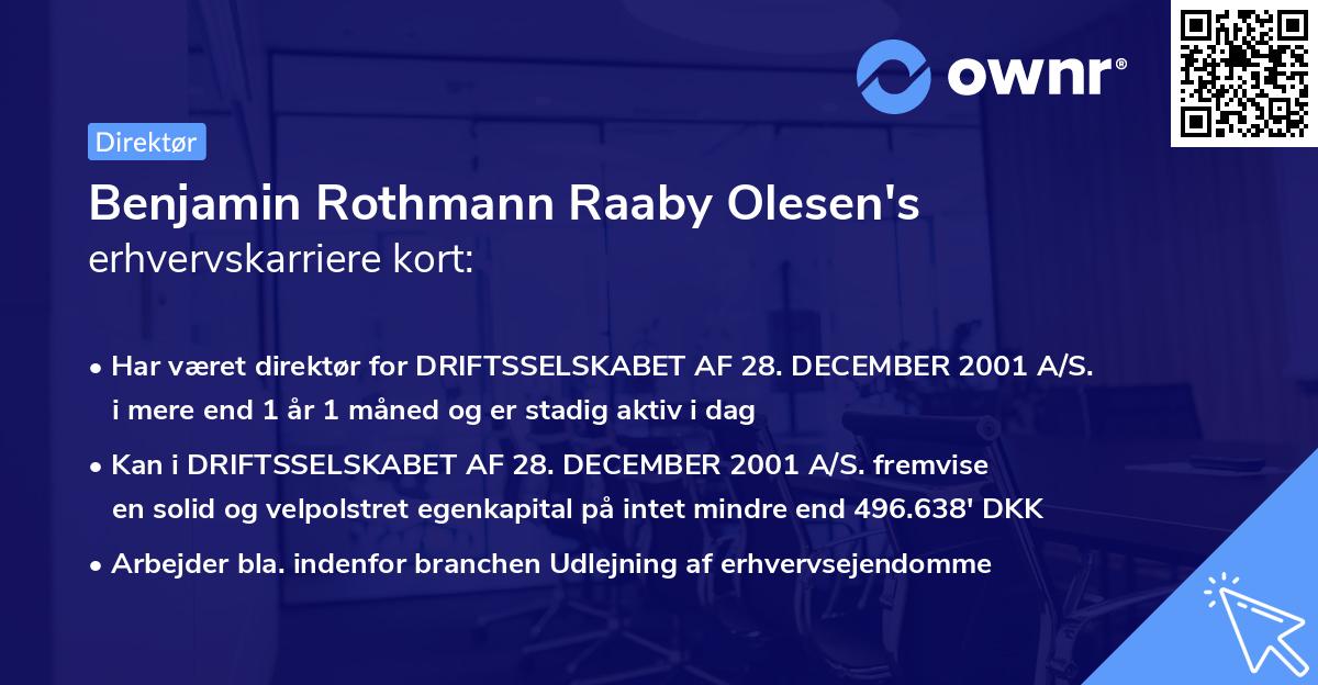 Benjamin Rothmann Raaby Olesen's erhvervskarriere kort