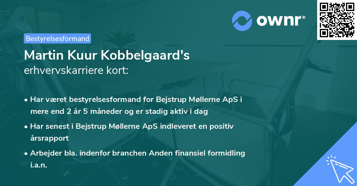 Martin Kuur Kobbelgaard's erhvervskarriere kort