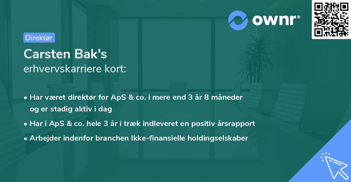 Carsten Bak's erhvervskarriere kort