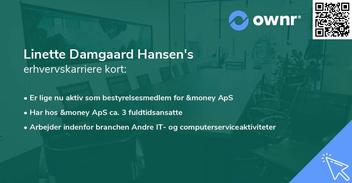 Linette Damgaard Hansen's erhvervskarriere kort