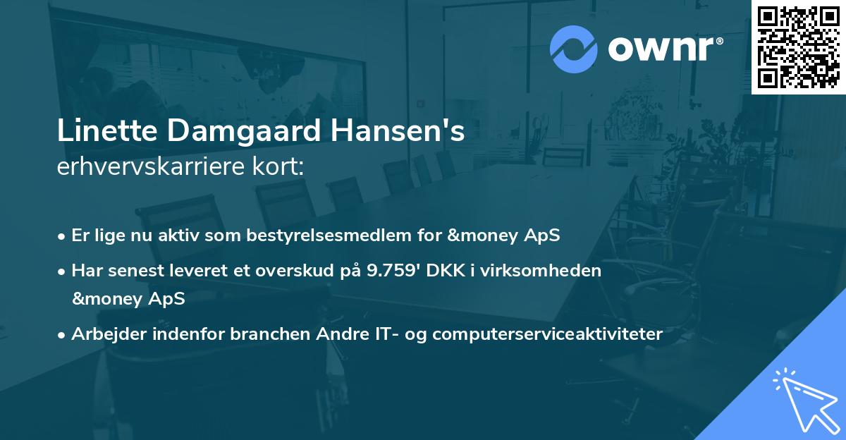 Linette Damgaard Hansen's erhvervskarriere kort