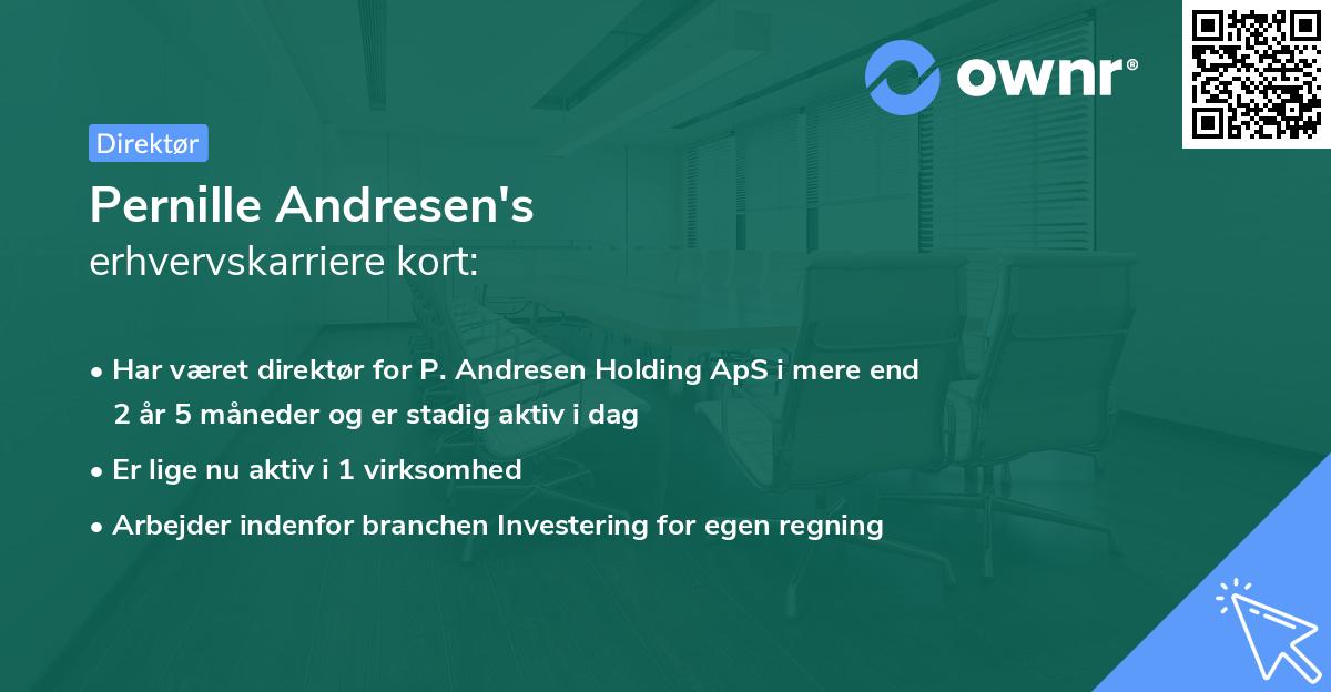 Pernille Andresen's erhvervskarriere kort