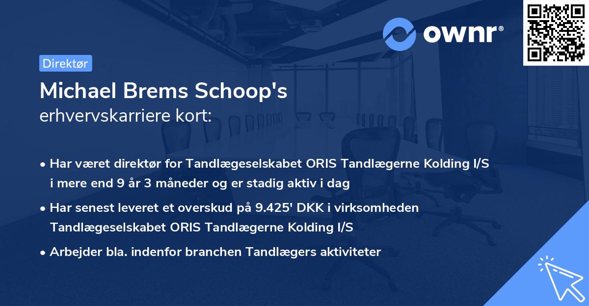 Michael Brems Schoop's erhvervskarriere kort