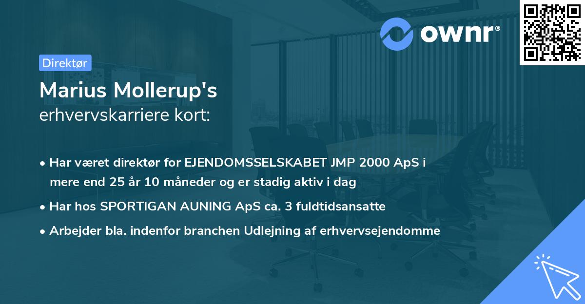 Marius Mollerup's erhvervskarriere kort