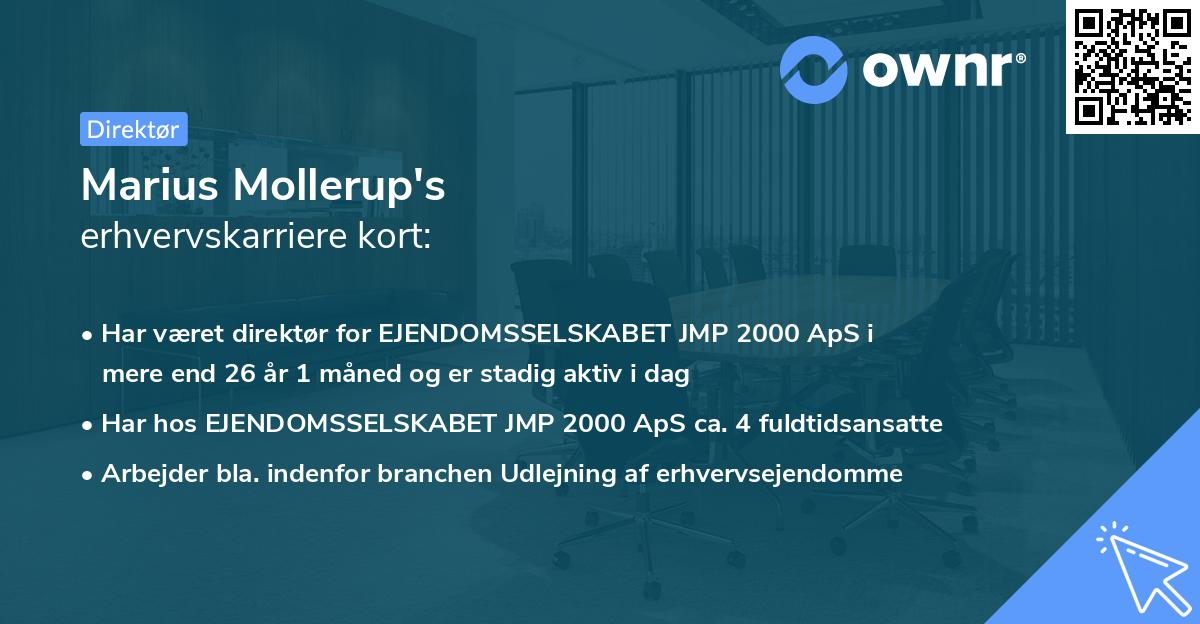 Marius Mollerup's erhvervskarriere kort