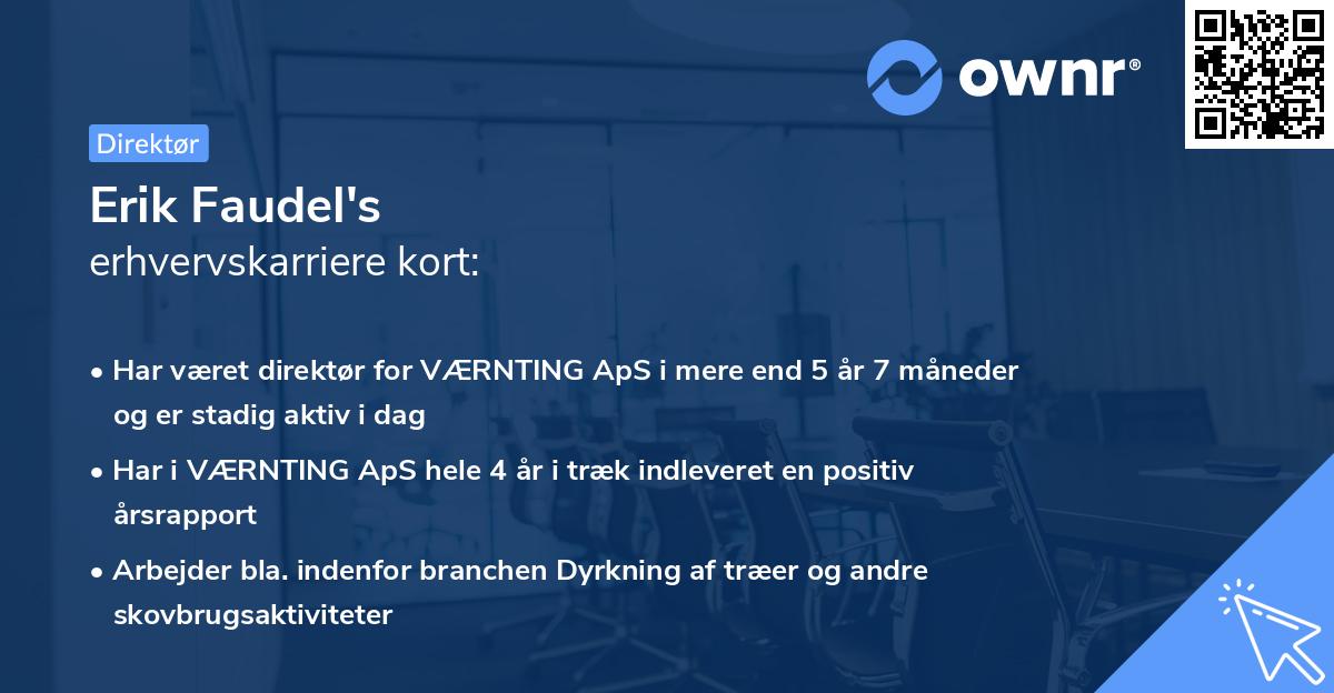 Erik Faudel's erhvervskarriere kort