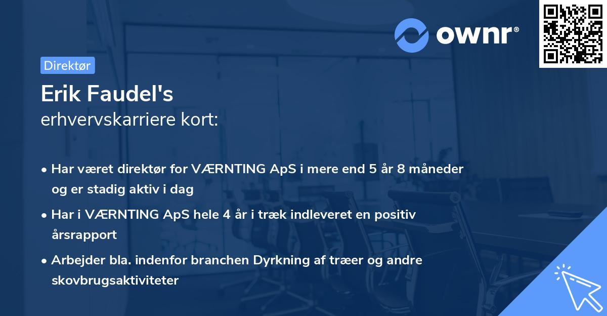 Erik Faudel's erhvervskarriere kort