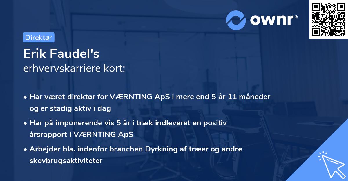 Erik Faudel's erhvervskarriere kort