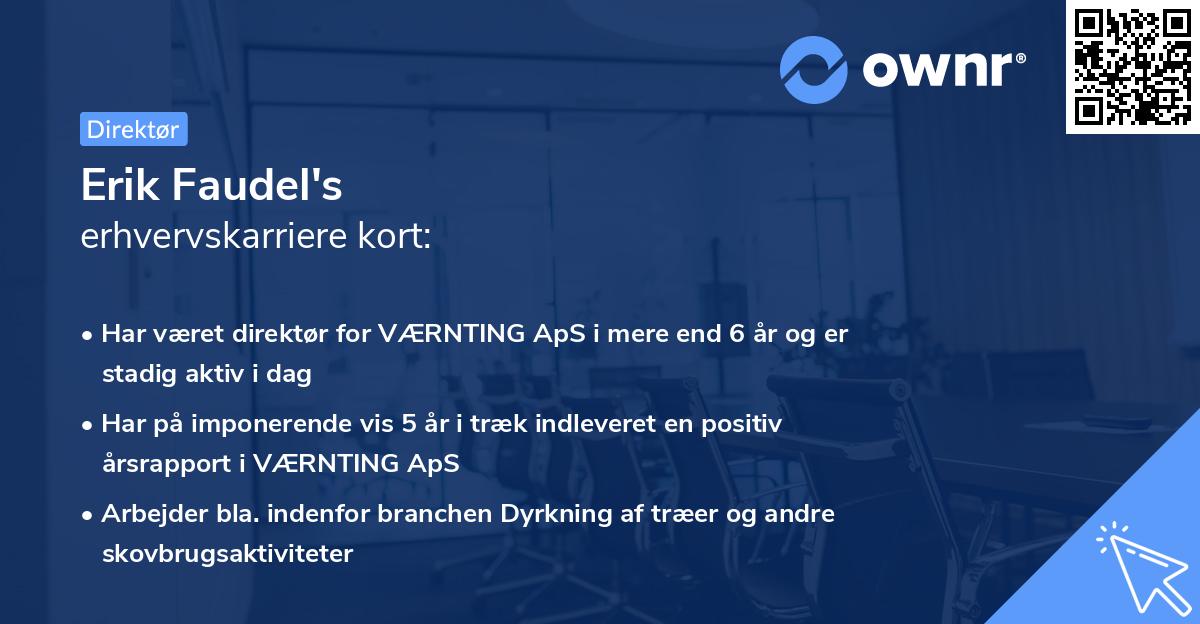 Erik Faudel's erhvervskarriere kort