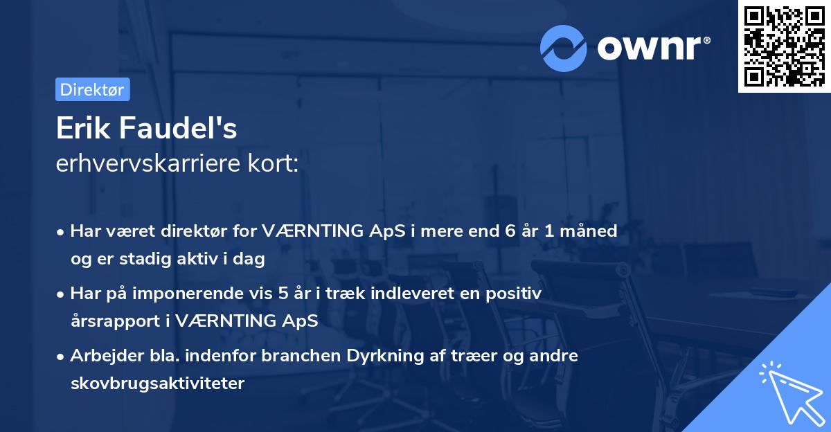 Erik Faudel's erhvervskarriere kort