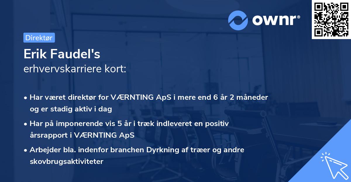 Erik Faudel's erhvervskarriere kort