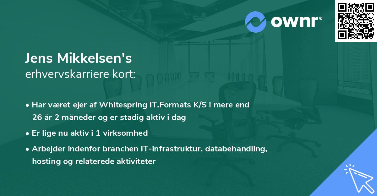 Jens Mikkelsen's erhvervskarriere kort