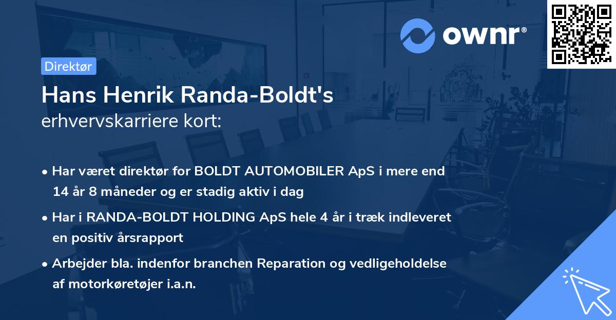 Hans Henrik Randa-Boldt's erhvervskarriere kort