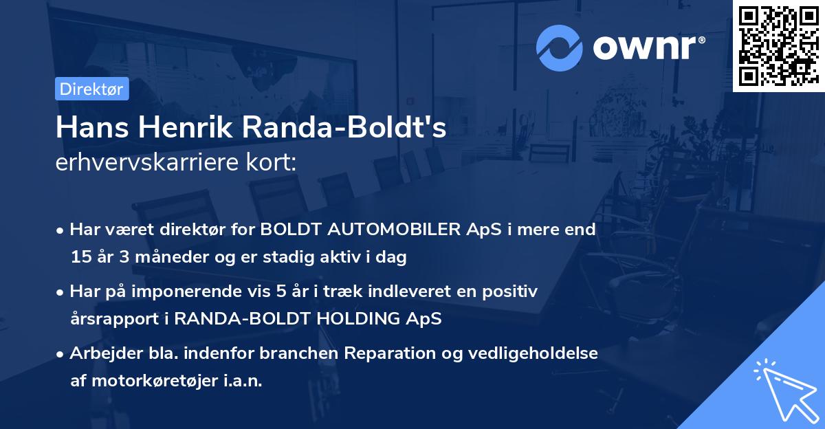 Hans Henrik Randa-Boldt's erhvervskarriere kort