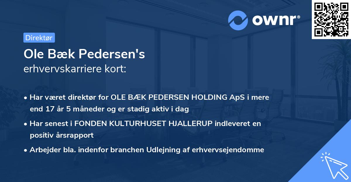 Ole Bæk Pedersen's erhvervskarriere kort