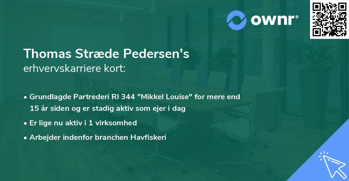 Thomas Stræde Pedersen's erhvervskarriere kort