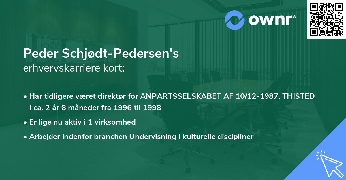 Peder Schjødt-Pedersen's erhvervskarriere kort