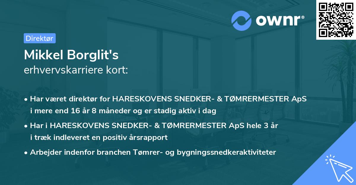 Mikkel Borglit's erhvervskarriere kort