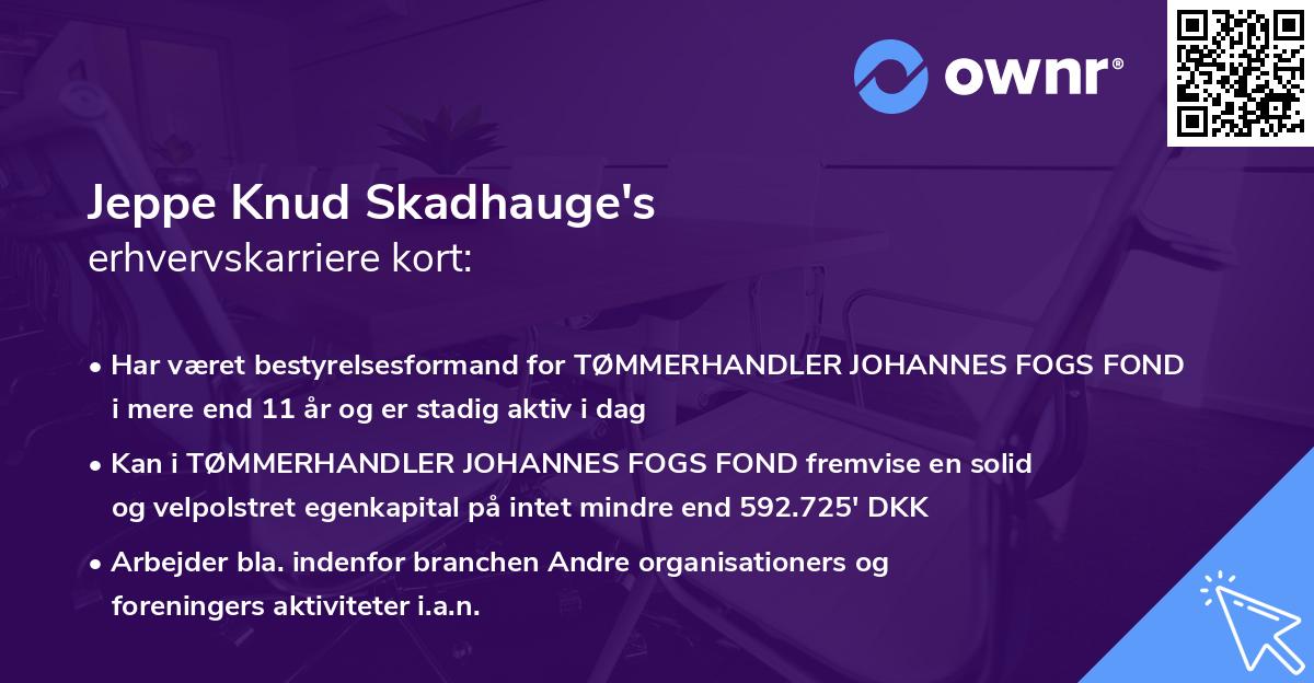 Jeppe Knud Skadhauge's erhvervskarriere kort