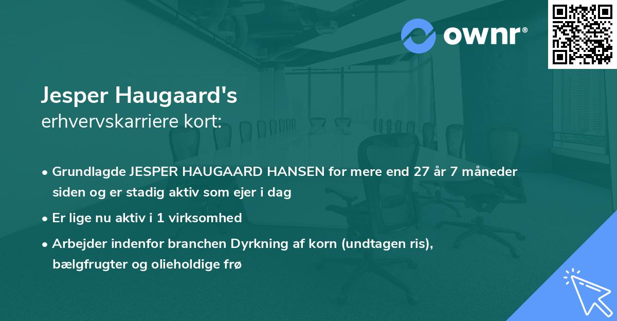 Jesper Haugaard's erhvervskarriere kort