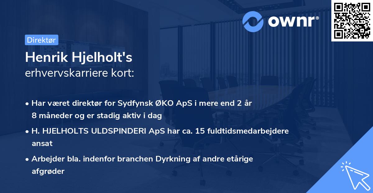 Henrik Hjelholt's erhvervskarriere kort