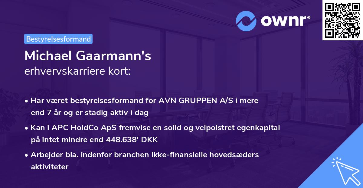 Michael Gaarmann's erhvervskarriere kort