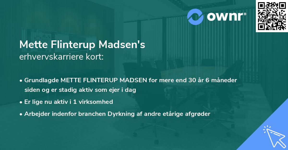 Mette Flinterup Madsen's erhvervskarriere kort