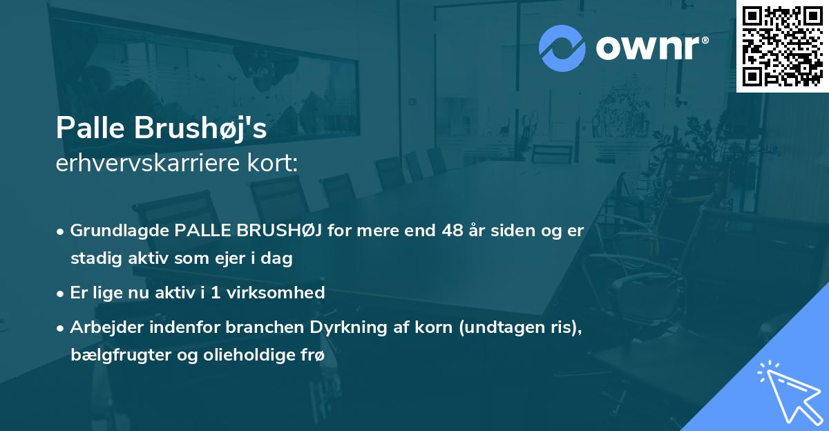 Palle Brushøj's erhvervskarriere kort