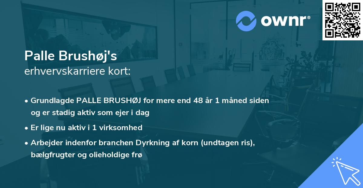 Palle Brushøj's erhvervskarriere kort