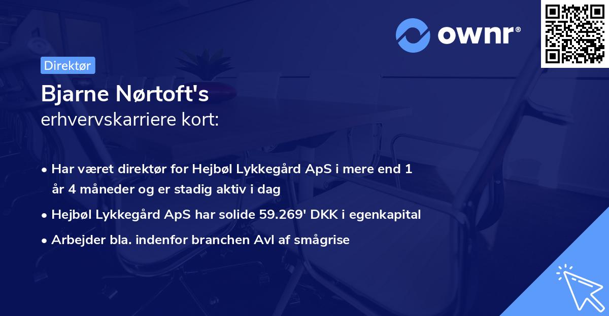 Bjarne Nørtoft's erhvervskarriere kort